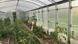 Не повторяйте этих 5 ошибок на даче осенью — весной земля не оправится даже после подкормок