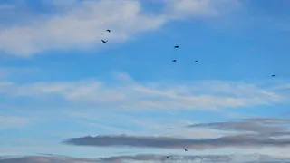 Прогноз погоды в Нижнекамске на 25 августа