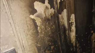 Воскресный пожар в перинатальном центре Сыктывкара потребовал эвакуации 85 человек