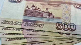 В Челябинской области установили период действия «садовой» льготы