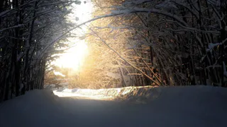 Урожай загнется из-за катастрофы в марте: вот чем грозит аномальная зима 2025 года