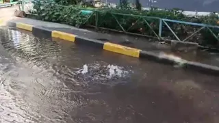 Фонтан во дворе: возле дома на Бирюзова из-под земли бьет вода