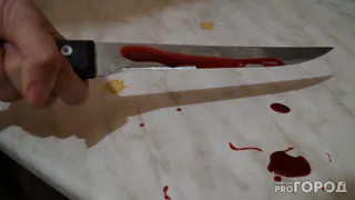 В Коми пенсионер зарезал собутыльника из-за ревности