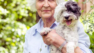 Верные и спокойные: 5 пород собак, которые подарят теплоту и верность пожилым людям