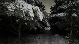 Женщина дошла из Троицко-Печорска в Мылву в кромешной темноте