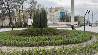 В Рязани ко Дню Победы появится клумба-звезда 