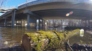 "Понедельник - грустный день.." - Instagram подборка как рязанцы начинают новую рабочую неделю