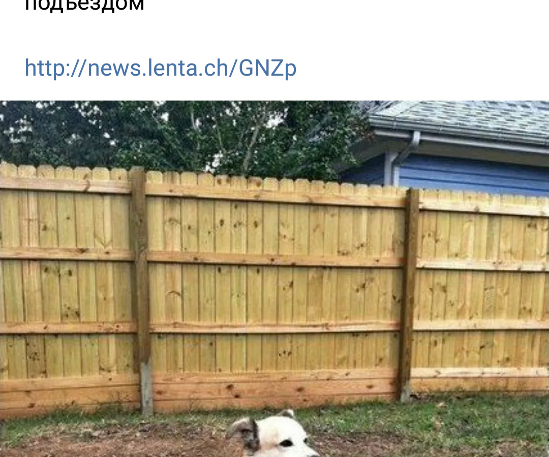 Нижнекамск снова печально прославился