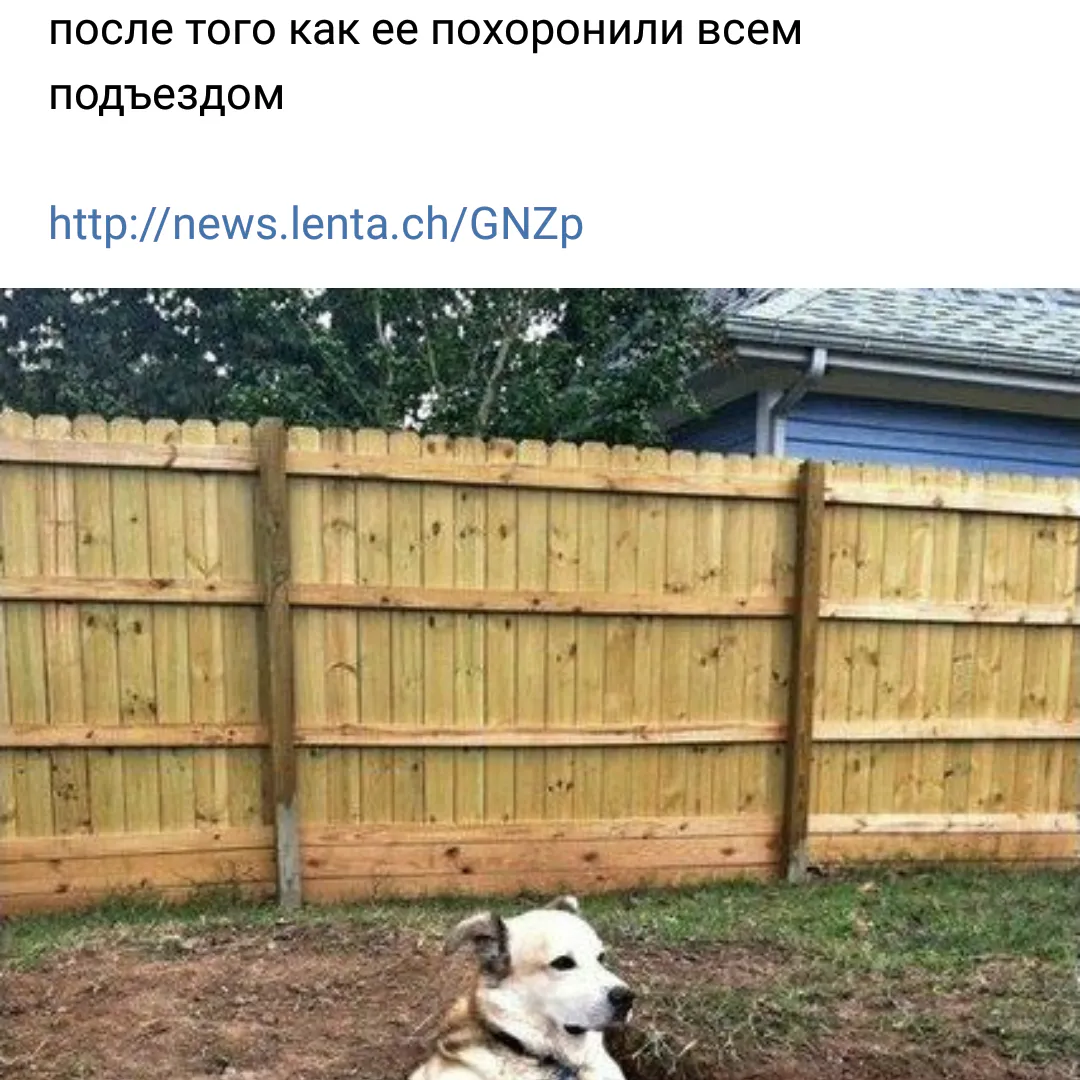 Нижнекамск снова печально прославился