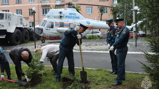 Сотрудники МЧС Владимирской области высадили восемь туй в память о погибших воинах