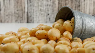 1,5 см на картошке - и "гороха" не будет: 1 трюк в апреле увеличит урожай до 40 процентов