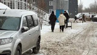 Первый день нового года в Рязани начался с морозов и снега
