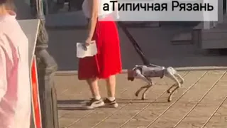 В центре Рязани женщина отправилась на прогулку с псом-роботом