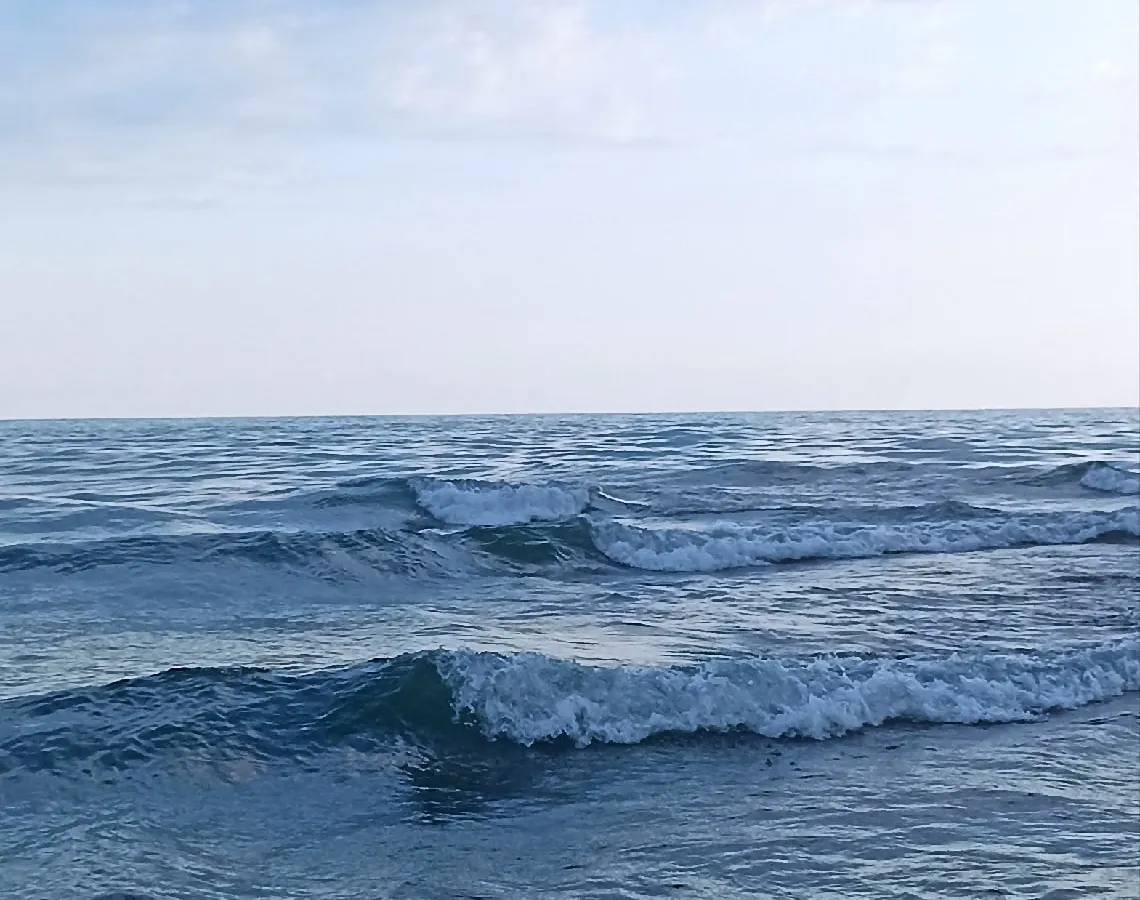 «Вонючее море и мерзкие люди»: российские туристы оставили честный отзыв об отдыхе на черноморских курортах