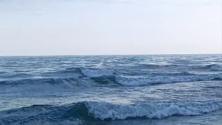 «Вонючее море и мерзкие люди»: российские туристы оставили честный отзыв об отдыхе на черноморских курортах