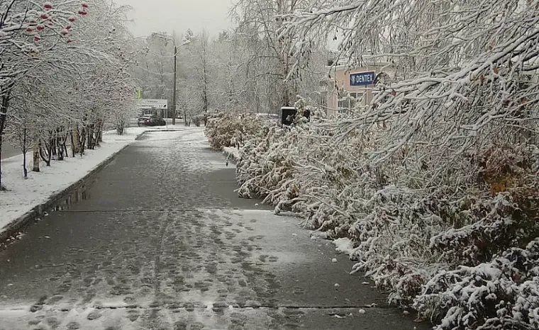 18 ноября в Пензенской области похолодает и выпадет снег