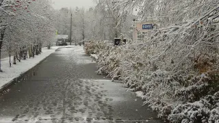 18 ноября в Пензенской области похолодает и выпадет снег