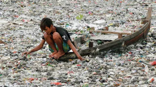 В России хотят ввести запрет на одноразовую пластиковую посуду