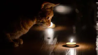 Жители четырех улиц Рязани 21 апреля останутся без света