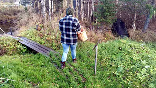 В Рязани парки обработают от клещей