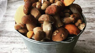 Грибной сезон в Рязани открыт! Аппетитная Instagram-подборка от Pro Города