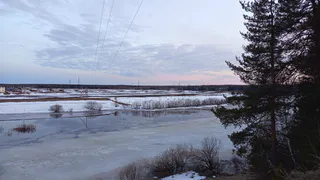 Тело пропавшего четыре года назад снегоходчиха обнаружили в Коми