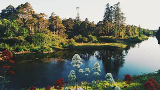 В пятницу рязанцам пообещали теплую погоду без осадков