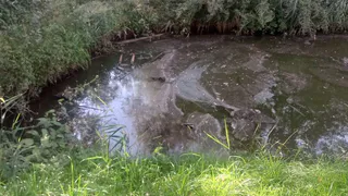 Рязанцы просят вернуть освещение в парке у пруда "Серая Шейка"