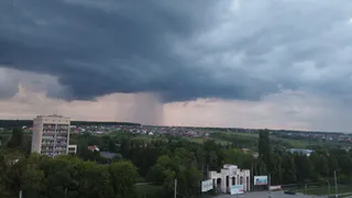 В Рязанской области 25 июня синоптики спрогнозировали грозу и до +22°С