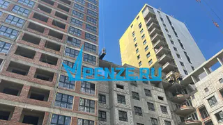 Пошумели и хватит: новая редакция закона о тишине в регионе