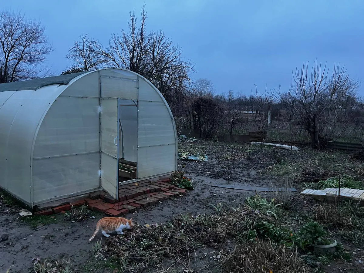 Самое популярное растение у дачников теперь запретили выращивать: новое правило с 1 апреля ввели для россиян