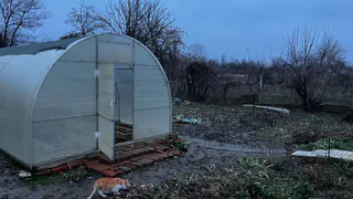 С 8 мая теплицы под запретом: россияне узнали о важном решении, у кого есть дача или участок - новые штрафы