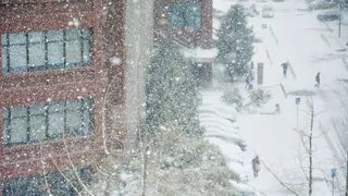Понедельник в Рязани будет снежным