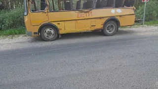 Детей в транспорте не было: в полиции рассказали подробности аварии в Клепиковском районе