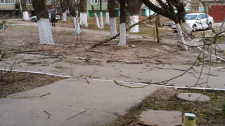 В Рязани не нашлось организации, готовой убрать сломанную ветку, повисшую на проводах