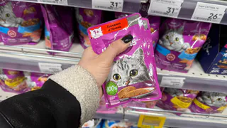 "Умоляем, не травите этим домашних кошек": в Роскачестве назвали самые худшие марки корма для питомцев