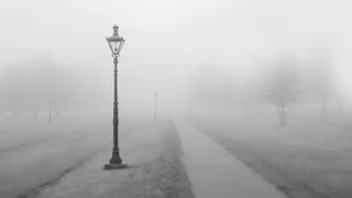 Прогноз синоптиков – какую погоду ждать рязанцам в начале рабочей недели