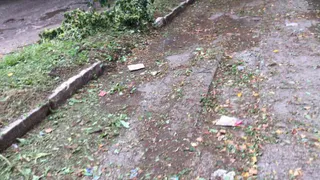 Винегрет: на Строителей не убрали мешанину из скошенной травы и мусора. Видео