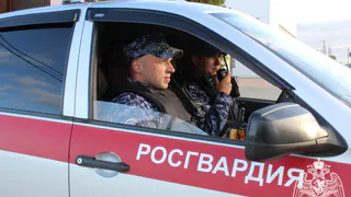 В Коми поймали воров, действовавших через терминал самообслуживания