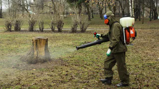 В рязанских парках обработают деревья от клещей