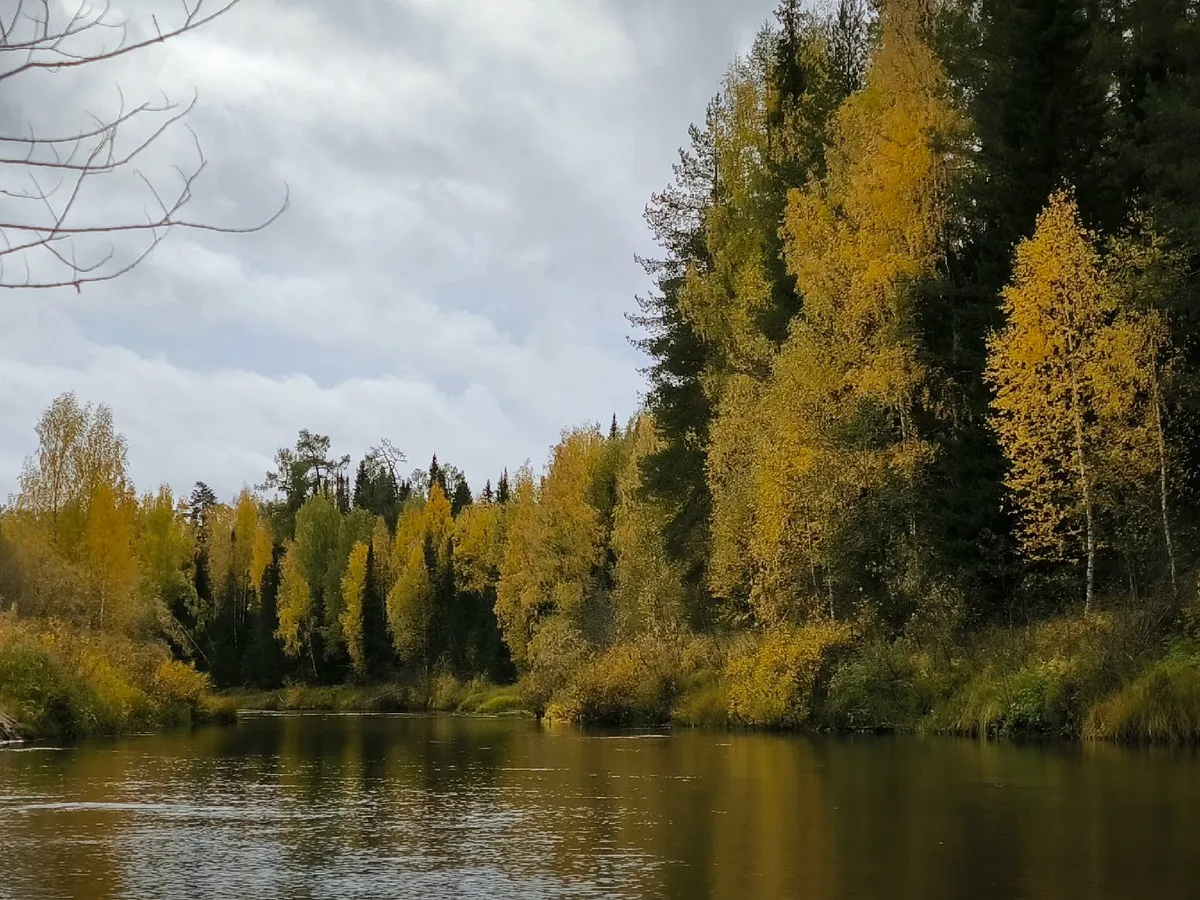 Астрологи предсказали долгую и счастливую жизнь 4 знакам Зодиака: проверьте, включены ли вы в список