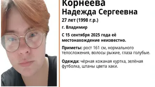 Во Владимире ищут пропавшую в середине сентября 27-летнюю девушку