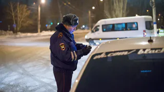 В Рязанской области 30 января на дорогах пройдет рейд «Источник света»