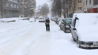 Синоптики спрогнозировали похолодание с приходом февраля в Коми