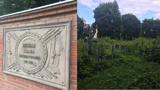 Вот наша память о героях: Лазаревское кладбище заросло двухметровым бурьяном
