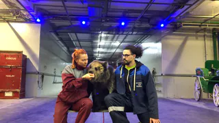 “Без аплодисментов и эмоций зрителей тяжело”. Как артисты уже десятый месяц выживают без выступлений в рязанском цирке