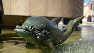 В рязанском Торговом городке стартовал технический запуск фонтана