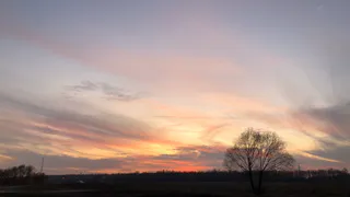 МЧС предупреждает: в четверг в Рязани будет сильный ветер