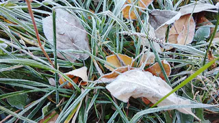 "От аномального тепла до снежных бурь". Какие сюрпризы готовит ноябрь для россиян