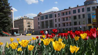 Сильный дождь и северо-западный ветер ожидаются сегодня в Брянске